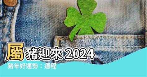 2024豬運勢|【2024屬豬運程】2024屬豬運程：反覆向上、轉危為機！【開運。